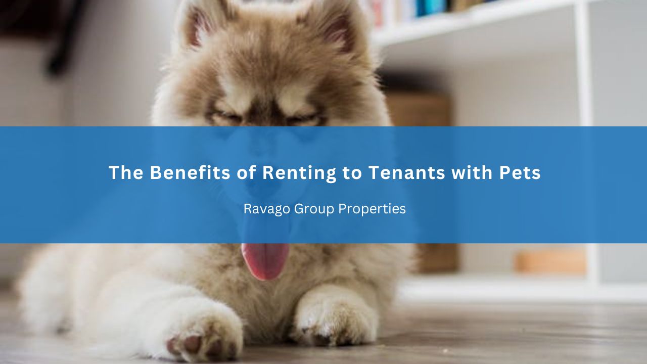 The Benefits of Renting to Tenants with Pets